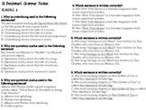 5th Grade Common Core ELA Multiple Choice Practice Worksheets