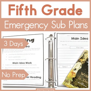 Preview of Fifth Grade Emergency Sub Plans for Sub Binder or Sub Tub