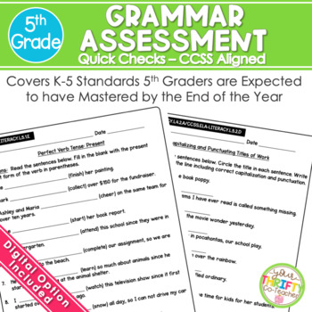 Preview of 5th Grade Grammar Assessment | Weekly Tests | Standard Based Worksheets