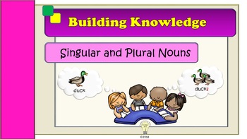 Preview of Singular and Plural Nouns Presentation