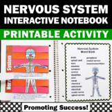 Nervous System Human Body Activities 4th 5th Grade Science
