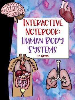 Preview of 5th Grade Interactive Notebook: Human Body & Organ Systems