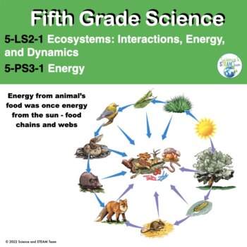 Preview of 5th Grade Life Science NGSS Aligned Unit About the Flow of Energy