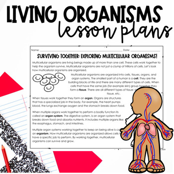 Preview of 5th Grade Living Organisms Unit Lesson Plans Bundle - NC SCOS LS.5.1
