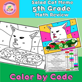 Preview of 5th Grade Math Review | Salad Cat Meme Color by Code Coloring Worksheet