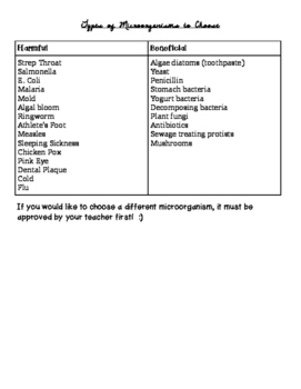 Preview of 5th Grade Microorganism Project Rubrics & Instructions BUNDLE