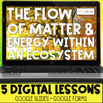 Preview of Matter and Energy in an Ecosystem | All Digital Learning