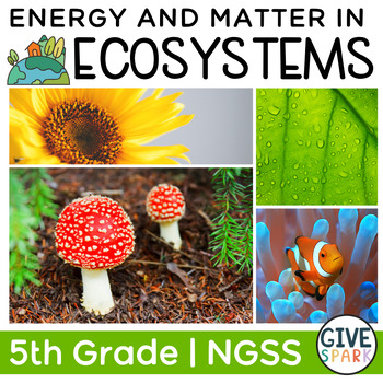 Preview of 5th Grade Science: Ecosystems - Energy & Matter - NGSS Aligned - Printable Unit