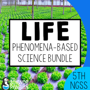Preview of 5th Grade NGSS Life Science Unit Bundle: Plants, Food Web, Decomposer, Ecosystem