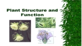 5th Grade NGSS - Plant structure and function Powerpoint slides