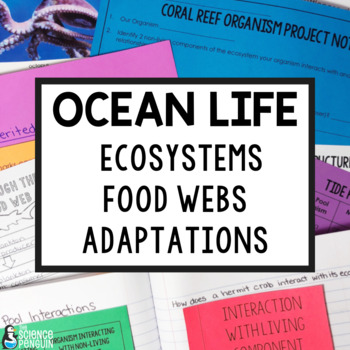 Preview of Ocean Animals | Ecosystems, Adaptations, & Food Chains and Food Webs Worksheets