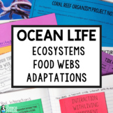 Ocean Animals | Ecosystems, Adaptations, & Food Chains and