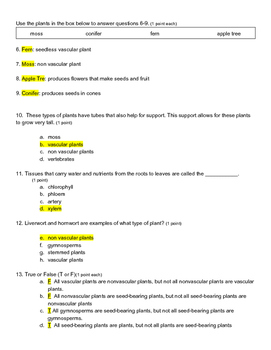 5th grade plant classification science quiz by trey