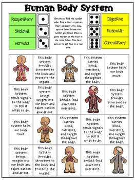5th Grade Science Games: Human Body Systems by Kinetic Kat | TpT
