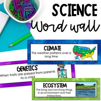 5th Grade Math TEKS Word Wall — Catnip's Word Walls