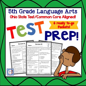 Preview of 5th Grade Language Arts Skill Packet Review for State Test