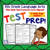 5th Grade Language Arts Skill Packet Review for State Test
