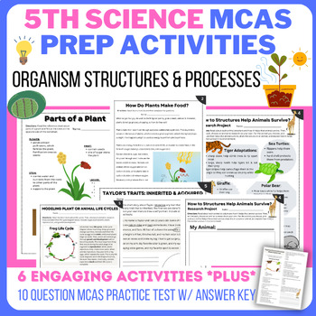 Preview of 5th Science MCAS Test Prep Activities & Practice (Organism Structures/Processes)