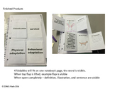 5th Grade Math Interactive Foldable Vocabulary Cards