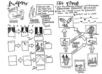 Preview of 5th grade STAAR review coloring sheet Landforms and Energy flow