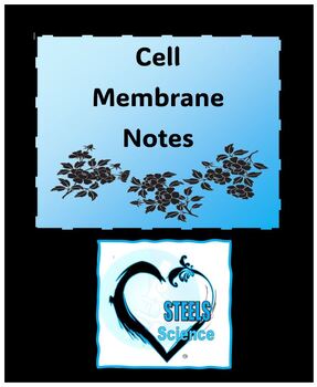 Preview of 6.2 Cell Membrane Notes