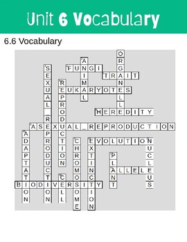 6 6 Crossword Puzzle ANSWER KEY KnowAtom by Stepping into Science
