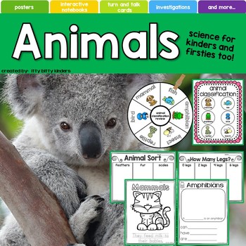 Preview of Animals, Mammals, Amphibians, Reptiles, Insects, Birds, Fish, Classifications