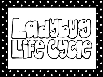 Preview of 6 Black and White Ladybug Life Cycle Printable Poster Anchor Charts.