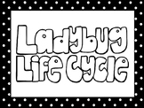 6 Black and White Ladybug Life Cycle Printable Poster Anch