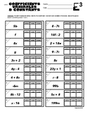 6.EE.2 Coefficients, Variables, & Constants