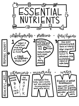 Preview of 6 Essential Nutrients Coloring Page