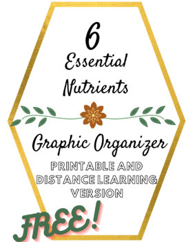 Preview of 6 Essential Nutrients Graphic Organizer