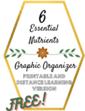 6 Essential Nutrients Graphic Organizer