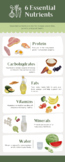 6 Essential Nutrients Infographic