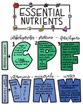 6 Essential Nutrients Poster