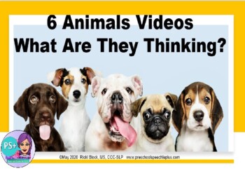 Preview of 6 Funny Animal Videos - What Are They Thinking?  NO PRINT