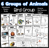 6 Groups of Animals Bird Group Worksheets, Book, & Posters