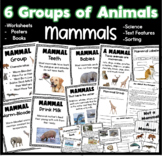 6 Groups of Animals - Mammal Group Worksheets, Books, Posters