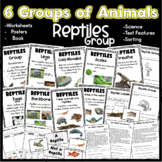 6 Groups of Animals Reptile Group Worksheets, Book, & Posters