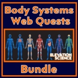 7 Human Body Systems Webquests Digestive Nervous Immune Ci