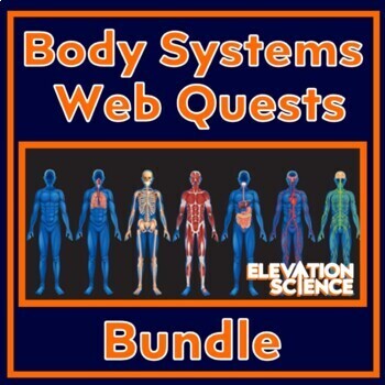 Preview of 7 Human Body Systems Webquests Digestive Nervous Immune Circulatory Respiratory
