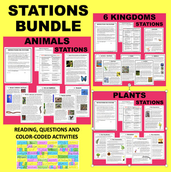 Preview of 6 Kingdoms, Animals, Plants STATIONS Reading Activity BUNDLE