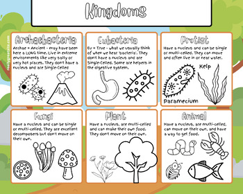 Preview of 6 Kingdoms Coloring Sheet