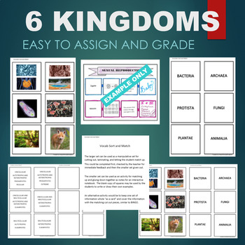 Preview of 6 Kingdoms Living Things (Bacteria, Fungi, etc) Sort & Match STATIONS Activity