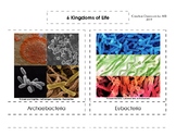 6 Kingdoms of Life 3-Part Cards (Montessori)