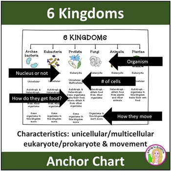 Preview of 6 Kingdoms of Life Characteristics Anchor Chart