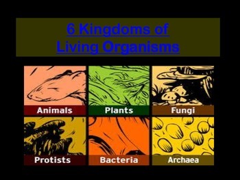 Preview of 6 Kingdoms of Living Organisms Bundle