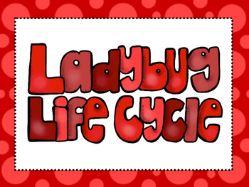 Preview of 6 Ladybug Life Cycle Printable Classroom Poster Anchor Wall Charts.