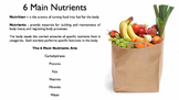 6 Main Nutrients Free Sampler