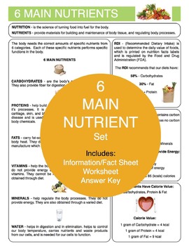Preview of 6 Main Nutrients Content Sheet, Worksheet and Answer Key